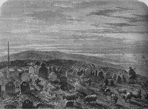 Cathcarts Hill