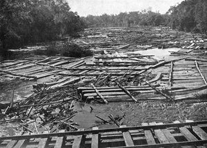 Zedernstämme auf dem Tebicuary-Guazu-Fluss, die an der Eisenbahnbrücke vorbeischwimmen, Paraguay, 1911 von Unbekannt