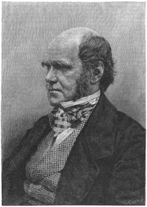 Charles Darwin, englischer Naturforscher, 1884