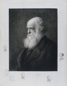 Charles Darwin, englischer Naturforscher, ca. 1860er