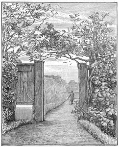 Charles Darwin im Sandweg bei Down House, ca. 1870-1887 von Unbekannt