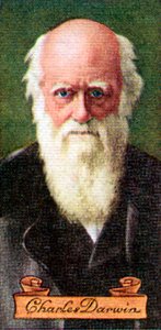 Charles Darwin, aus einer Serie von Zigarettenkarten, 1935