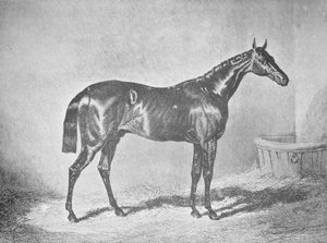 Charles XII, Gewinner des St. Leger 1839