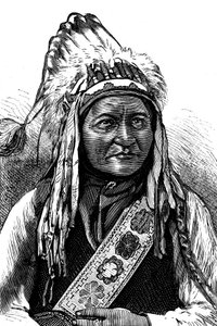 Häuptling Sitting Bull, amerikanischer Indianer, 19. Jahrhundert von Unbekannt