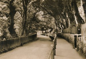 Chine Avenue, Shanklin, I.W., um 1920