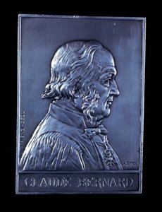 Claude Bernard, französischer Physiologe des 19. Jahrhunderts, 1913 von Unbekannt