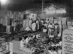 Kokosnussproduktion, Indien, 20. Jahrhundert von Unbekannt