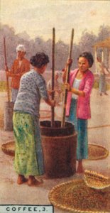 Kaffee, 3. Schälen der Bohnen, Java, 1928