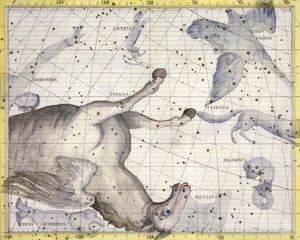 Sternbild Pegasus, 1729