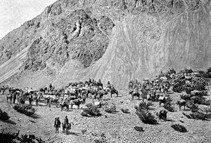 Konvoi von Maultiertreibern am Fuße der Cordillera, Südamerika, 1895 von Unbekannt