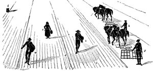 Fruchtwechsel: Aussaat und Eggen von Korn, 1855