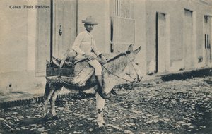 Kubaner Obstverkäufer, ca. 1908