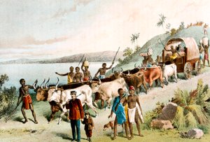 David Livingstone, schottischer Missionar und Afrikaforscher, 1849 um 1878 von Unbekannt