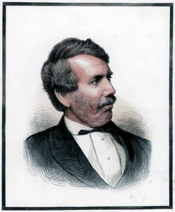 David Livingstone, schottischer Missionar und Afrikaforscher, 1874 von Unbekannt
