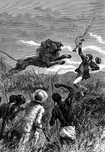 David Livingstone, schottischer Missionar und Afrikaforscher, von einem Löwen angegriffen, ca. 1860