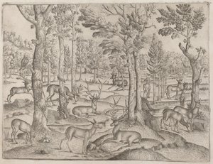 Hirsche im Wald, ca. 1520 von Unbekannt