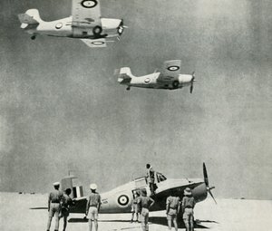 Wüstengeschwader - Flugzeuge der Fleet Air Arm während des Zweiten Weltkriegs, ca. 1943