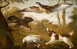 Hund bewacht eine tote Ente vor Raubvögeln, 1700-1800