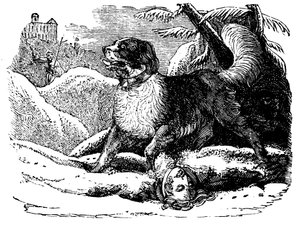 Hund vom Hospiz des Heiligen Bernhard findet einen Reisenden im Schnee, ca. 1840