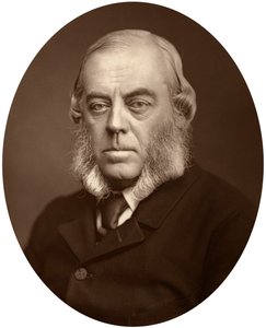 Herzog von Malborough, Lord Lieutenant von Irland, 1881