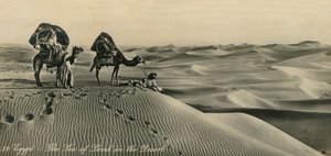 Ägypten - Das Meer des Landes in der Wüste, ca. 1918-ca. 1939 von Unbekannt