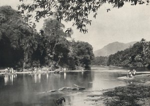 Elefantenbadeplatz an der Mahavaliganga bei Kandy, 1926