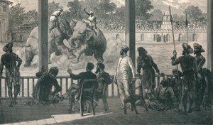 Elefantenkampf in Baroda, 1896 von Unbekannt