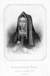 Elizabeth von York, Königin von König Heinrich VII.