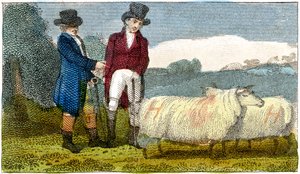 Bauern diskutieren über Dishley New Leicester Schafe, 1822