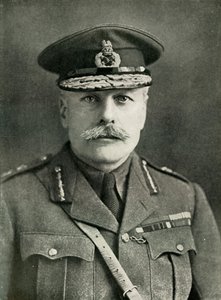 Feldmarschall Earl Haig, 1910er, 1919