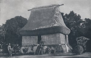 Fidschianisches Haus, 1924