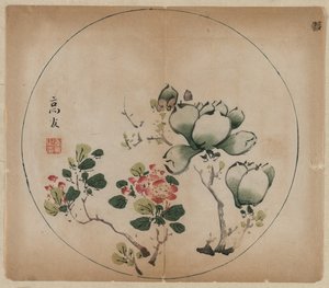 Blühende Magnolie und Pfirsichblüten