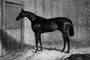 Foig-A-Ballagh, um 1841-1860, 1911