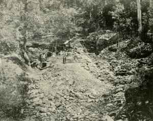 Goldsucher bei der Arbeit, 1901