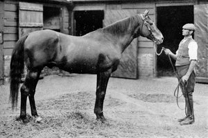 Foxhall, 1880-1904, 1911 von Unbekannt