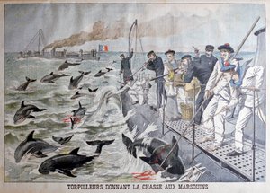 Französische Torpedoboote jagen Schweinswale, 1903