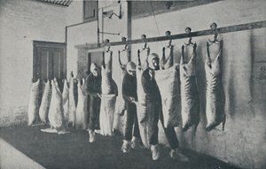 Gefrorenes Fleisch, 1910