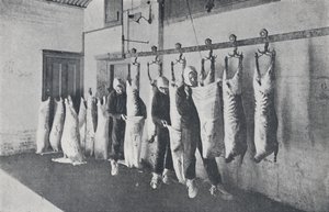 Gefrorenes Fleisch, 1923 von Unbekannt