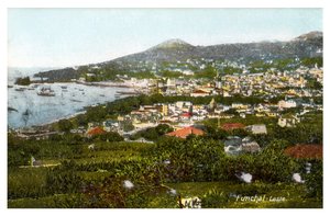 Funchal, Madeira, Anfang des 20. Jahrhunderts
