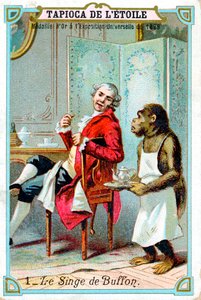 George-Louis Leclerc, Comte de Buffon, französischer Naturforscher des 18. Jahrhunderts, um 1890 von Unbekannt