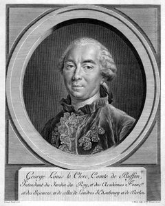 Georges-Louis Leclerc, Comte du Buffon, französischer Naturforscher, 1761 von Unbekannt