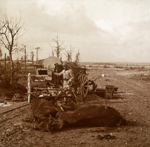 Deutsches Pferdegespann, Tahure, Nordfrankreich, ca. 1914-1918