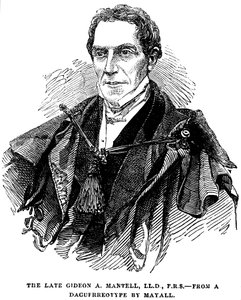 Gideon Algernon Mantell, englischer Geologe, 1852 von Unbekannt
