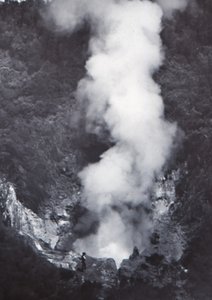 Großer Wairakei-Geysir, spätes 19. - frühes 20. Jahrhundert