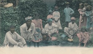Grüße aus Jamaika. Kulis beim Waschen, 1905