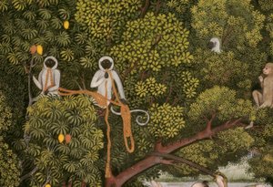 Hanuman-Languren indische Miniatur