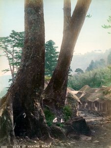 Hata an der Hakone-Straße, Japan, frühes 20. Jahrhundert