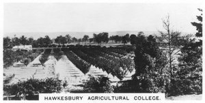 Hawkesbury Agricultural College, New South Wales, Australien, 1928 von Unbekannt