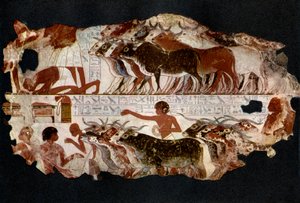 Rinderherden aus der Zeit der 18. Dynastie, Ägypten, ca. 1400 v. Chr., 1936