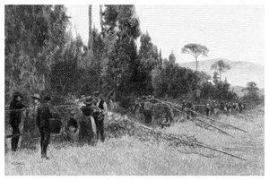 Hopfenernte bei Bairnsdale, Australien, 1886